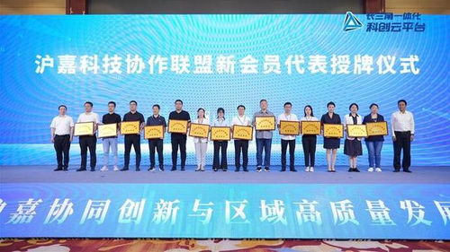上海和嘉興今天成立一個新聯(lián)盟